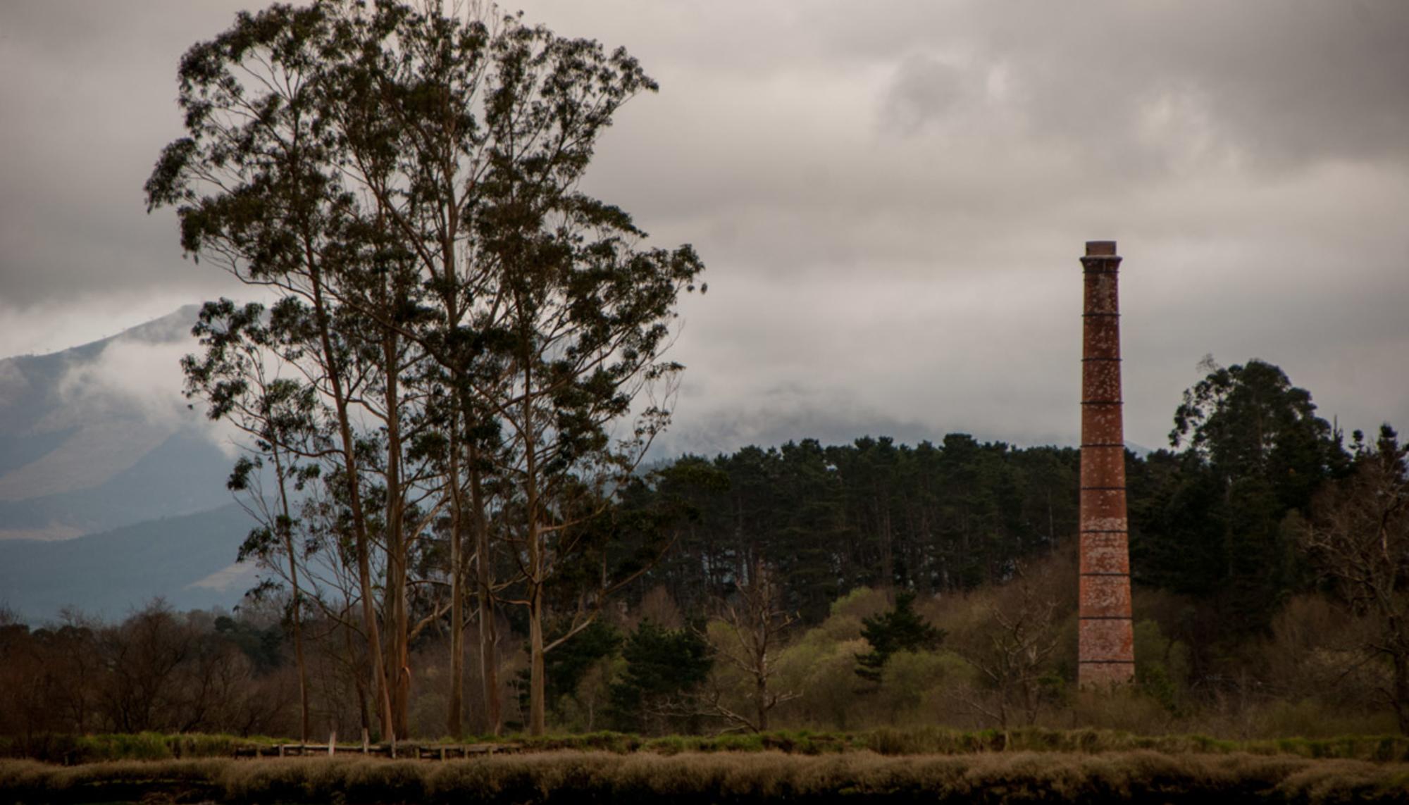 Guggenheim Urdaibai Muruetan. Joseba Barrenetxea